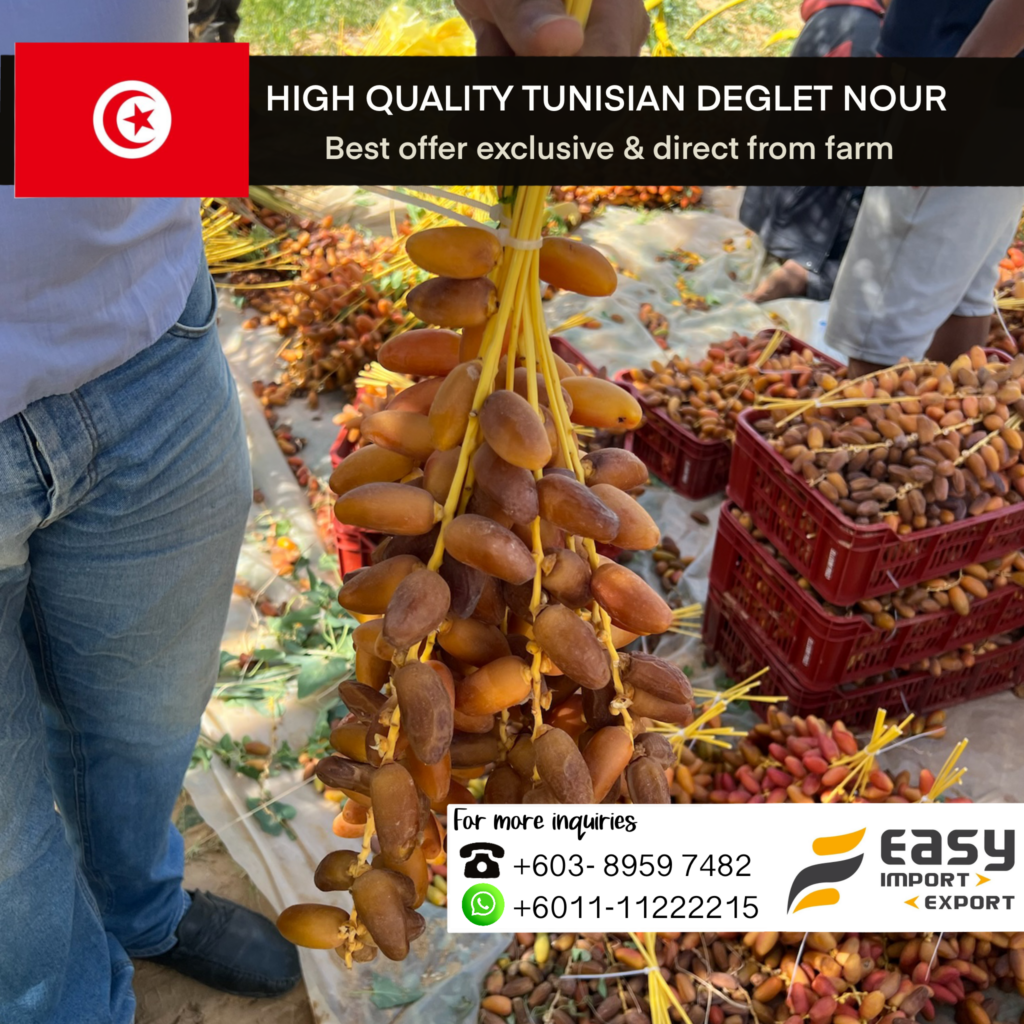 Deglet nour Tunisia varieties : LOOSE, Branches & Processed